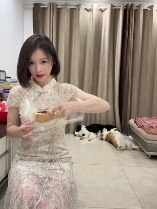 想吃个饼都费劲 #边牧 #柯基 #不养狗不知道养狗的乐趣