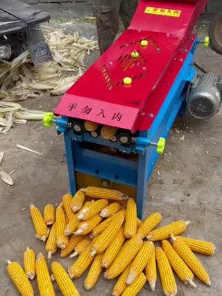 玉米剥皮机的工作规场,亲!这个效果昆你想要的吗?
