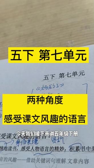 五下 第7单元 两种角度 感受课文风趣的语言