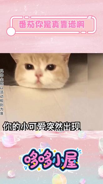 听歌听书就来番茄~ ##番茄畅听#海量音乐免费听 #听歌 #免费