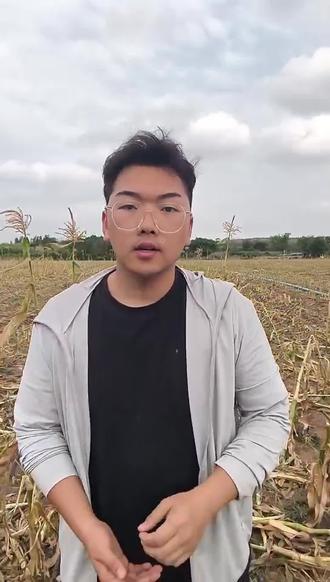 甜玉米怎么用肥 #农业种植 #农业知识