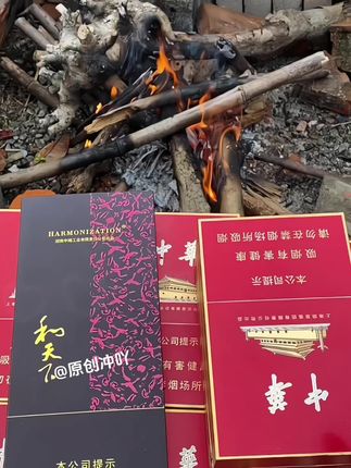 #烟民看过来#烟嘴过滤器#焦油过滤器