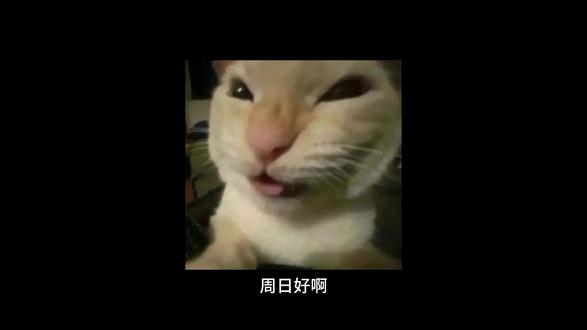你是漫展摄影师还是户外人像摄影师呢?5分钟解决轮廓辉光问题。 #p图教程 #ps教学 #新手修图 #cos摄影 #户外人像摄影