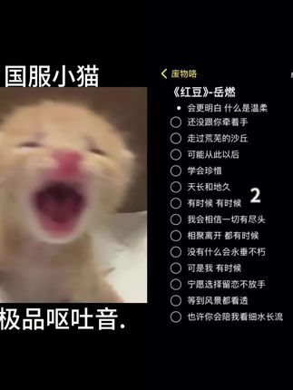 学会珍惜天长和地久#红豆#翻唱 #猎奇