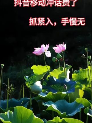 抖音移动冲话费了#优惠活动火爆进行中 #