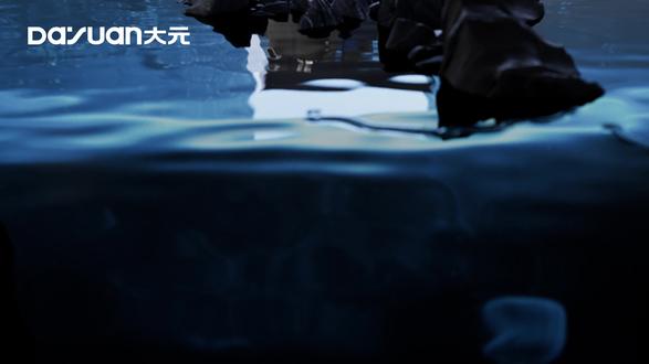 多重领域,一机搞定|大元ETm-P喷射泵P款 #大元泵业 #大元水泵 #塑料喷射泵 #家用喷射泵 #花园浇水用泵 #菜园浇水泵