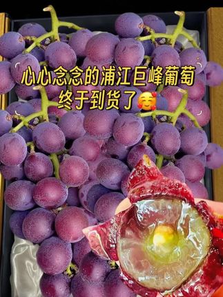 正宗浦江巨峰葡萄自种当季新鲜水果产地直发整串鲜甜整箱送礼包邮#葡萄 #新鲜水果#优质水果