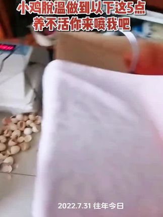 #养殖 #养鸡 #鸡鸭鹅养殖 #农村散养土鸡 #益生菌