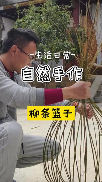 趁着春天,编个柳条篮子…
#我的手工作品 #创作者中心 #创作灵感 #自然手作 #柳条编织小篮子 @慕慕的森林疗法