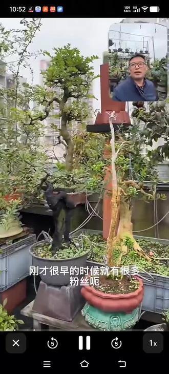 周老师,精心视频教学,感谢