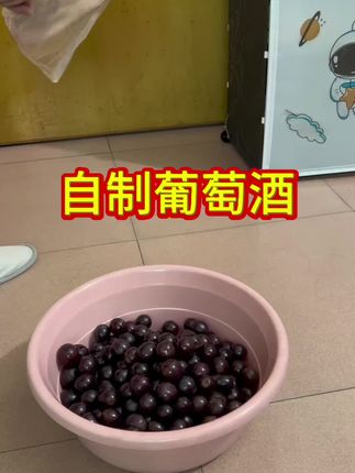自制葡萄酒