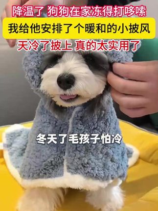 降温了,狗狗在家冻得打哆嗦,我给他安排了个暖和的小披风,天冷当个小被子,洗澡当浴巾,真的太实用了#宠物披风  #萌宠好物  #狗狗披风  #也太可爱了吧 = =