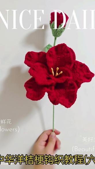 中华洋桔梗钩织教程(六)#中华洋桔梗