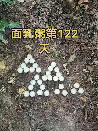如果你正在经历各种困难 不如意 去做施食吧#福报不是求来的是修来的 #面乳粥