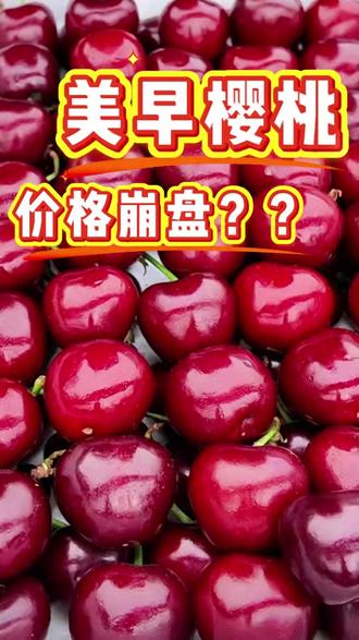 全家都爱吃美早樱桃 营养吃法一站式分享 大连美早樱桃应季上新,自然树熟锁住原生风味,脆甜多汁,适配全家不同食用需求。宝妈带娃日常,可做宝宝辅食果泥、手指小零食,口感温和好吸收,天然原味吃着更安心;自己日常控卡解馋,洗净即食,清爽不腻无压力。健身人群当作运动前后加餐,补水润口、舒缓疲劳;轻食爱好者搭配谷物、酸奶、沙拉,制作高颜值营养代餐,好吃又饱腹。饭后吃上几颗,还能解腻开胃,提升日常饮食幸福感。樱桃含有天然膳食营养,日常适量食用,丰富饮食种类,口感老少皆宜。做法简单多样,无需繁琐烹饪,清洗、去核、切块即可,居家常备实用又美味。
#美早樱桃 #大樱桃 #高端水果 #水果