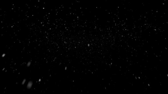 古人是如何描写思恋#王维 #古诗词 #相思红豆#相思