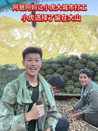 今天跟俺爸俺妈收核桃