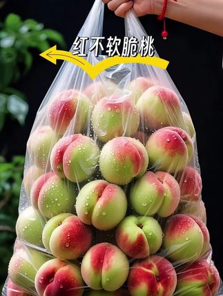 宝子们!我竟然才第一次吃到这种脆蜜红不软!这口感,这味道,真的绝了!原来它就是传说中的红不软脆蜜桃呀!咋能有这么好吃的蜜桃啊,又脆又甜,咬一口清甜多汁,肉质那叫一个脆嫩爽口,我一下子就炫了好几个! ,家人们,不会还有人没吃过红不软脆蜜桃吧?要是没吃过我真的会超心疼的!这可是新鲜采摘的哦,又脆又甜又清爽!喜欢吃脆桃的友友们一定得尝尝! ,#优质农产品 #脆甜多汁 #快来一起尝个鲜 #应季水果 #脆蜜桃