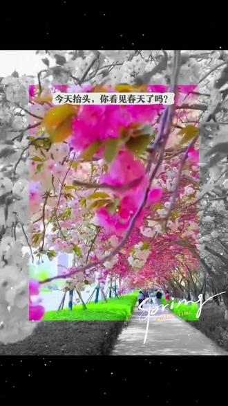 今天抬头你看见春天了吗?#