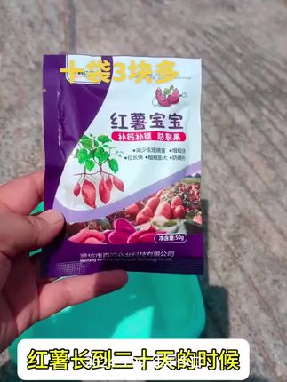 红薯宝宝#红薯种植 #红薯大丰收 试试红薯宝宝