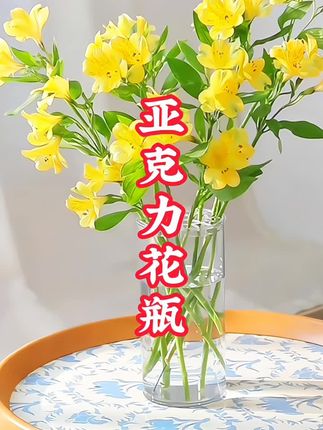 简约高级又摔不坏的亚克力花瓶..透明直筒设计..多种规格..简约大气..让鲜花的美丽一目了然..可插花可水培也可养鱼..喜欢的朋友不要错过#花瓶 #亚克力花瓶 #居家插花 #鲜花瓶 #花瓶插花