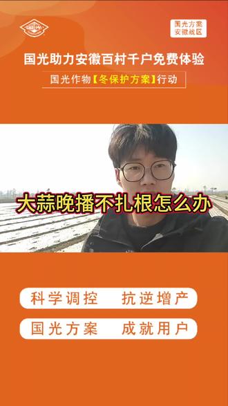蒜苗根部发霉不扎根怎么解决
