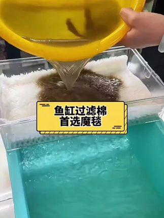 鱼缸魔毯魔袋鱼缸用品干湿分离过滤棉鱼缸专用#鱼缸过滤 #鱼缸魔毯 #鱼缸用品