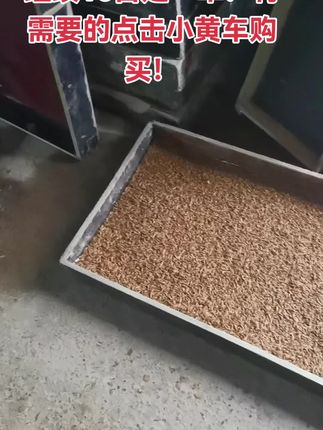 #农村创业养殖