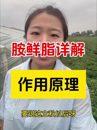 胺鲜脂详解,用法用量