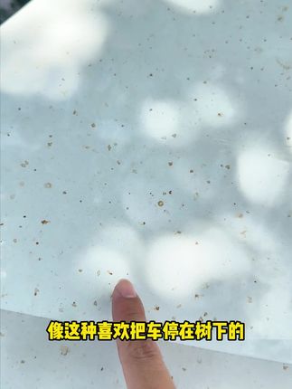 树胶黄点黑点再也不用抛光打蜡了,快用这款超能去污王试试#漆面树胶怎么去除 #树胶滴在车上怎么清洗 #虫胶去除剂