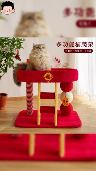 猫爬架猫窝 喵仙儿小型不占地猫爬架猫窝一体含猫抓柱猫咪玩具用品#小型猫爬架 #宠物居家好物 #猫咪休息区 #猫咪好物 #猫咪玩具