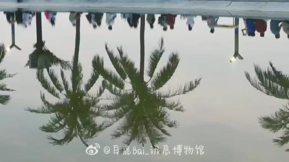 记鹿日常为vlogo
#白鹿my #白鹿叶璃#白鹿莫离