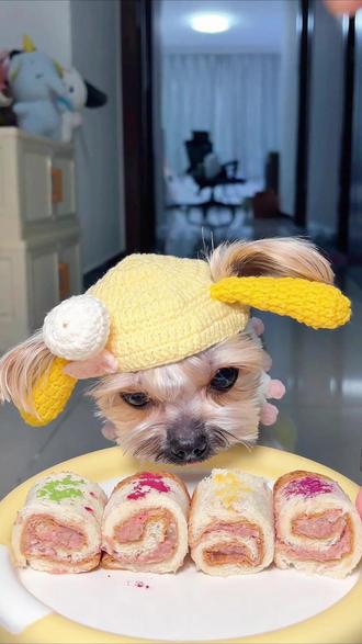 吐司的花样吃法之吐司肉卷🍞 #宝贝年味企划#万物可爱计划#人祝你新年快乐#第一眼以为是玩具小狗#想看看给宝贝的新年织物