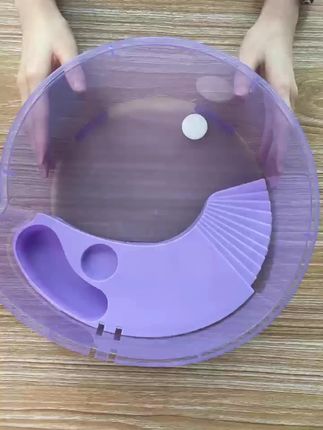 #龟缸 #乌龟龟缸礼盒装小龟饲养套装套餐桌面宿舍造景儿童节生日礼物学生#海螺龟缸#萌宠好物@抖音小助手