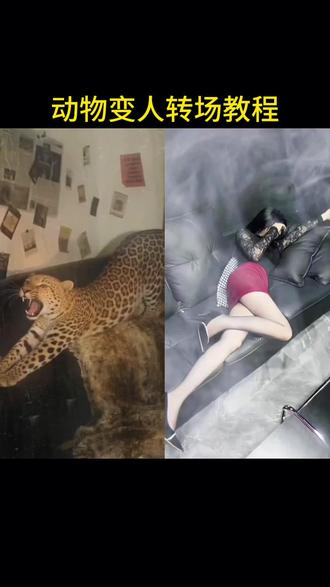 心儿似火烧 #动物变人转场 #即梦ai #我的AI分身杀疯了 #AI分身戏精大赛 #青蛇变人 狐狸变人 豹子变人 青蛇变人视频教程 青蛇变人转场指令 动物幻化成人形转场 花变人转场 雨儿轻轻飘心儿似火烧 ai动物变人 动物变人转场特效 动物幻影美女
