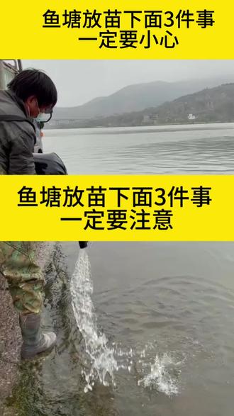 鱼塘放苗,下面3件事一定要注意!#水产养殖 #水产养殖技术 #鲈鱼养殖 #鳜鱼养殖#肥水培藻