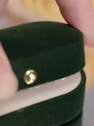 墨绿丝绒,金色点缀,如一首低调的诗篇。打开它的瞬间,仿佛进入了一个秘密花园🌹✨ #高级感 #细节之美