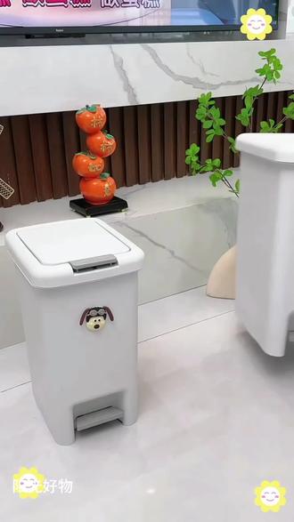 垃圾桶还是双开的好用,摘菜丢垃圾也不用弯腰,开盖只需脚踩,太方便了#脚踩垃圾桶 #双开盖垃圾桶 #居家好物