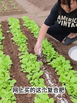 这个果蔬花卉通用的#复合肥 便宜又好用,肥效持久稳定,既可以种菜时做底肥,还可以在生长期做追肥 #超便宜超划算 #种菜小技巧 #种菜 #种植小技巧