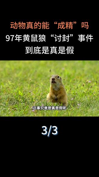动物真的能“成精”吗?97年黄鼠狼“讨封”事件,到底是真是假?#科普一下#大国重器#科普#黄鼠狼