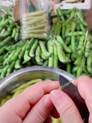 【现摘狗儿豆】四川狗儿豆龙爪豆猫猫豆老虎豆毛豆当天新鲜现摘批发#龙爪豆 #狗儿豆 #特色农产品 #新鲜采摘 #四川特产