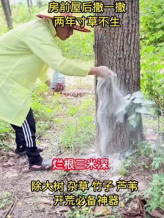 环秦酮杂草藤蔓杂竹庭院厂区公路机场专用颗粒型直接撒掺混肥 #除大树 #除竹子 #除杂草 #除根烂根渗透力强一次解决 #花卉绿植