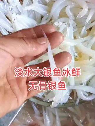 淡水大银鱼冰鲜无骨银鱼 #大银鱼 #冰鲜无骨银鱼 #无鳞无刺鱼 #口感非常好 #快来一起尝个鲜