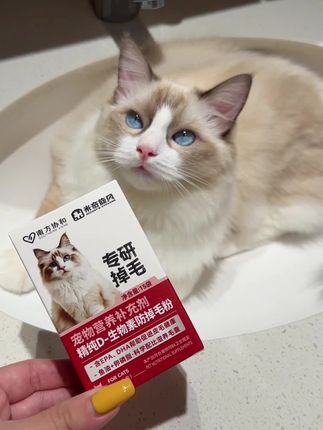 之前傻呼呼喂了一堆鱼油结果该掉还是掉,直到猫舍朋友推荐了这个#养猫新手 #萌宠好物 #科学养宠攻略 #米奇旋风