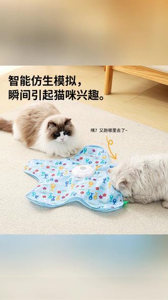 猫咪捕猎罩 猫咪一玩就上瘾的捕猎罩! #逗猫 #猫咪解闷 #宠物互动 #养猫必备 #猫咪自嗨