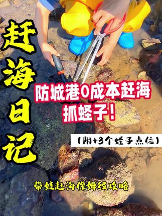 🔥🔥不花冤枉钱!防城港3个免费抓蛏子的赶海点,收藏 保存!国庆带娃深度体验赶海的快乐...#赶海 #蛏子 #防城港赶海攻略 #vlog日常 #赶海老表阿雯