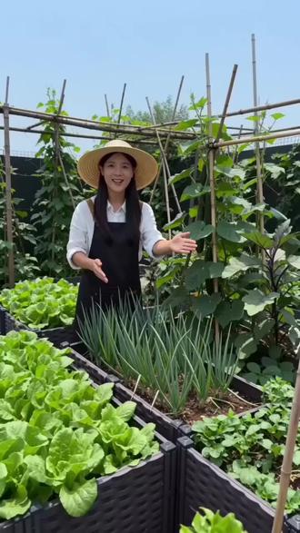 #蔬菜种植 #种植 #种草 #种植小技巧 #种植的乐趣