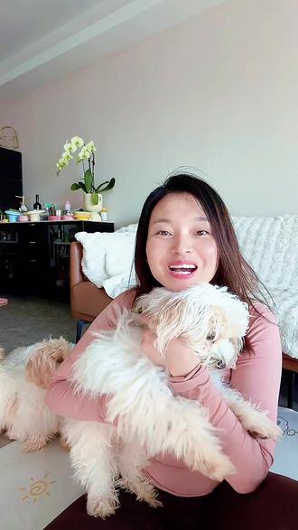 狗狗可以吃人的火腿肠吗?宠物火腿肠 谁懂啊,小狗真的很喜欢火腿肠,有没有猫狗可以吃的火腿肠,主食肠,狗狗香肠,斑斓主食肠#狗狗主食肠 #宠物火腿肠 #宠物香肠 #狗狗火腿肠