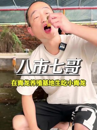 诏安的小青龙,抓起来直接嘴里塞#小青龙#诏安养殖