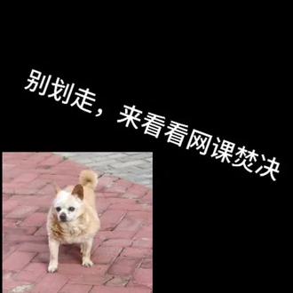 这个插件让你告别刷课😄😄😄
#网课#网课神器#大学搜题酱
#刷网课#学习通网课